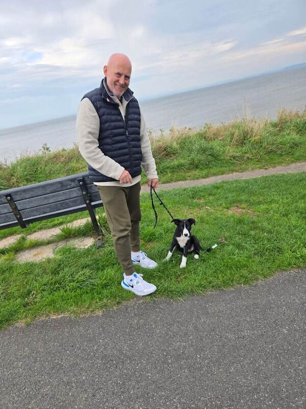 Border Collie puppies for sale in Crewe, Cheshire – 6 months old - Image 4 of 4