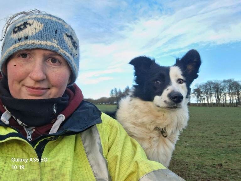 Border Collie puppies for sale in Turriff, Aberdeenshire – 3 years old